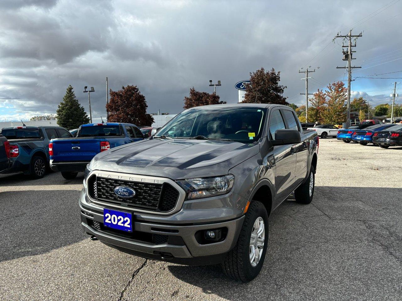 Used 2022 Ford Ranger XLT for sale in Essex, ON