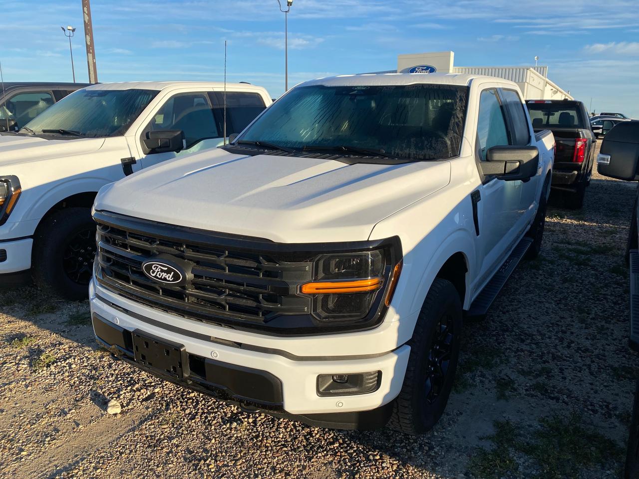 2024 Ford F-150 XLT 4WD SUPERCREW 5.5' BOX Photo