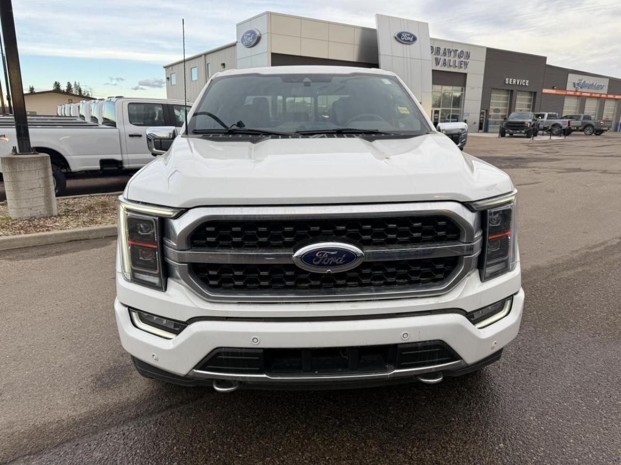 Used 2023 Ford F-150 XL for sale in Drayton Valley, AB