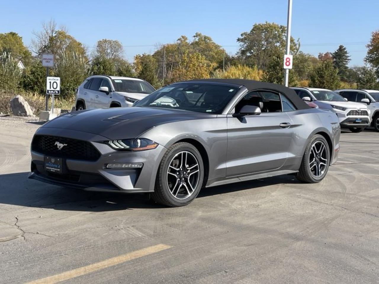 Used 2023 Ford Mustang EcoBoost  Premium, Leatherette, Cooled + Heated Seats, CarPlay + Android, Rear Camera, Bluetooth for sale in Guelph, ON