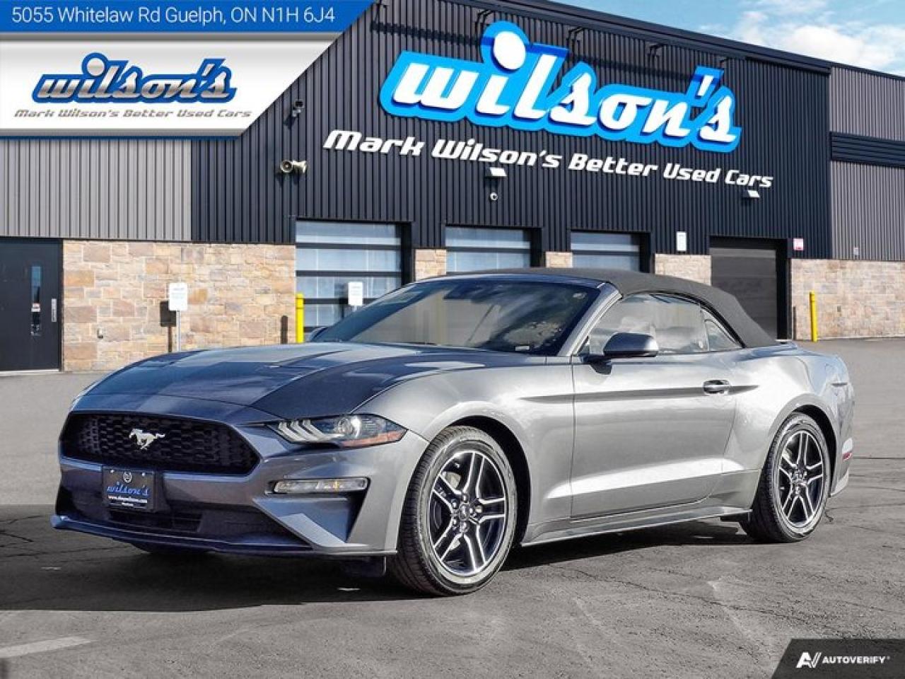 Used 2023 Ford Mustang EcoBoost  Premium, Leatherette, Cooled + Heated Seats, CarPlay + Android, Rear Camera, Bluetooth for sale in Guelph, ON