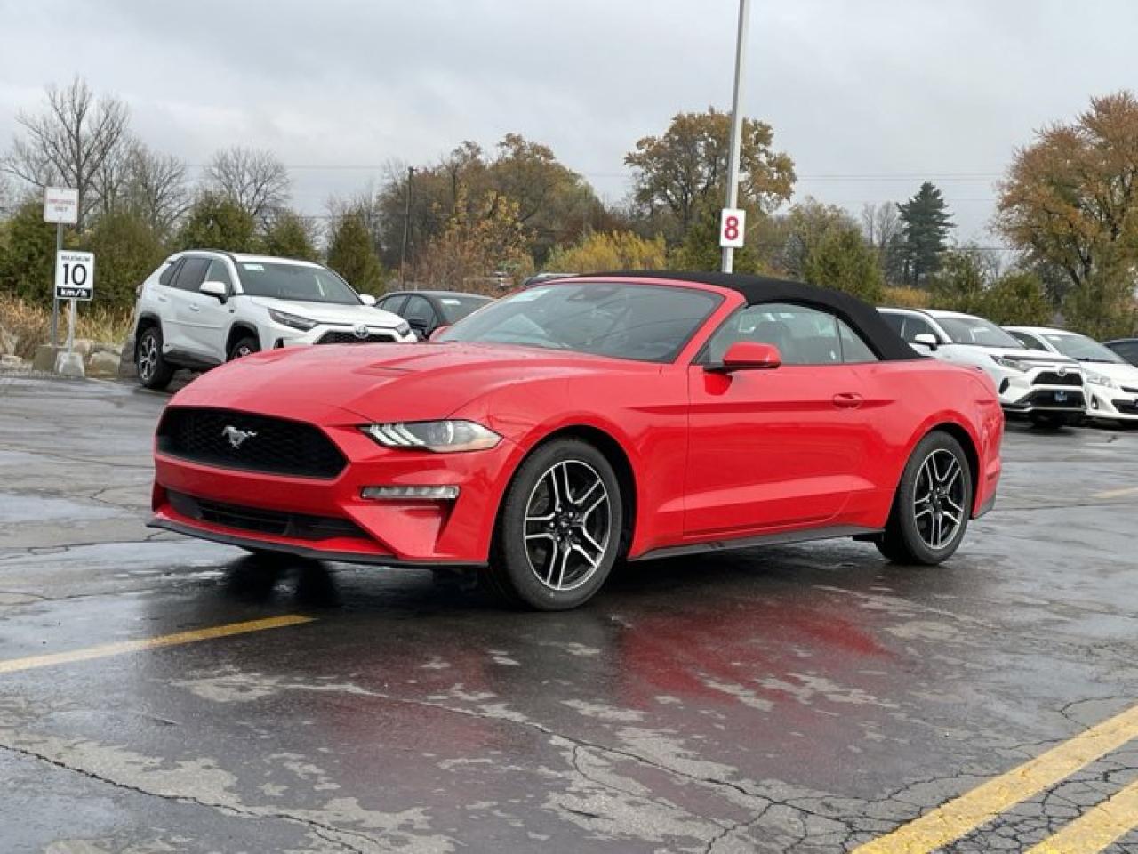 Used 2023 Ford Mustang EcoBoost Premium Leatherette, Cooled + Heated Seats, CarPlay + Android, Rear Camera, Bluetooth for sale in Guelph, ON