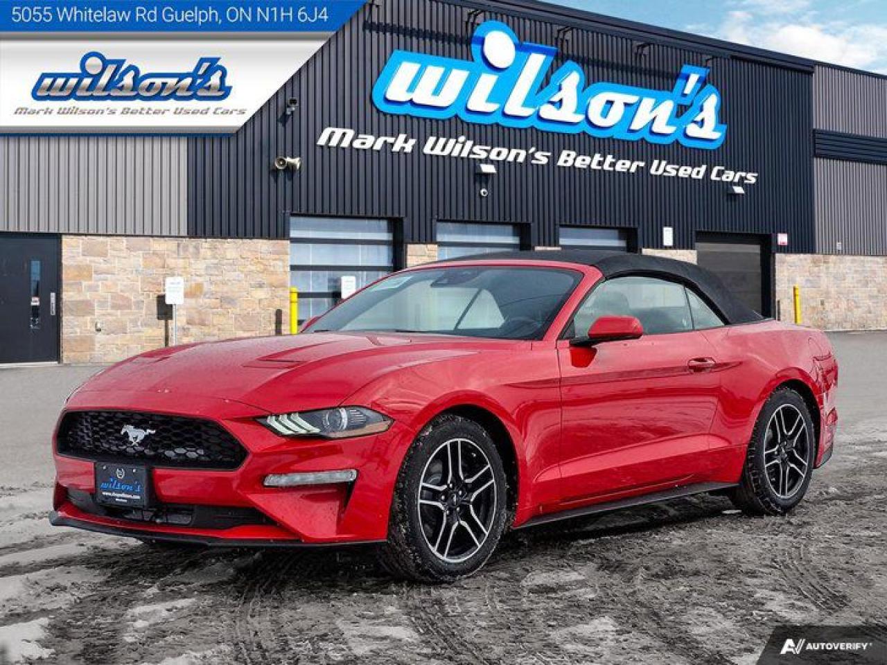 Used 2023 Ford Mustang EcoBoost Premium Leatherette, Cooled + Heated Seats, CarPlay + Android, Rear Camera, Bluetooth for sale in Guelph, ON