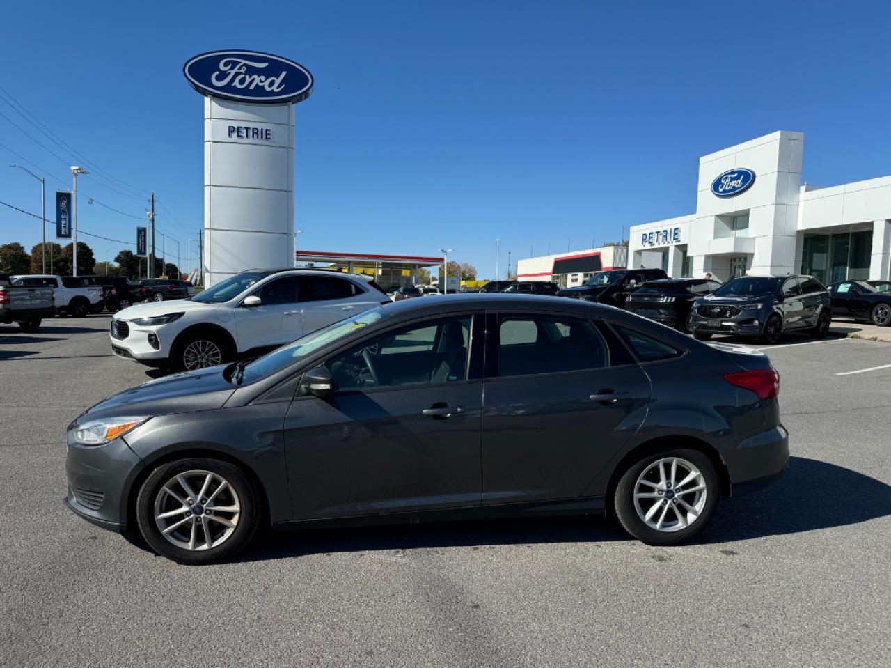 Used 2016 Ford Focus SE for sale in Kingston, ON