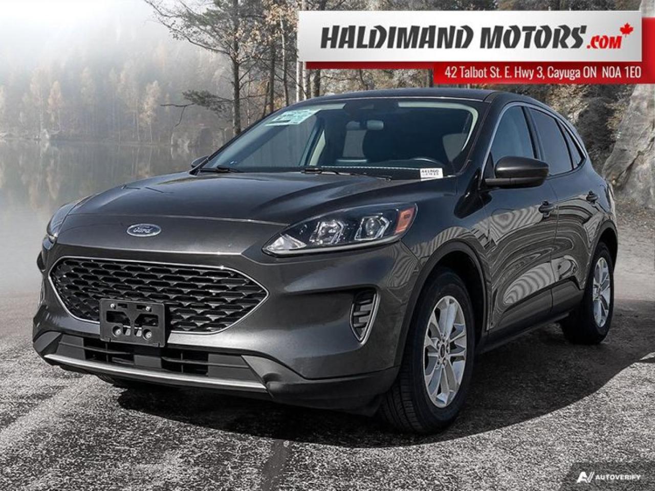 Used 2020 Ford Escape SE for sale in Cayuga, ON