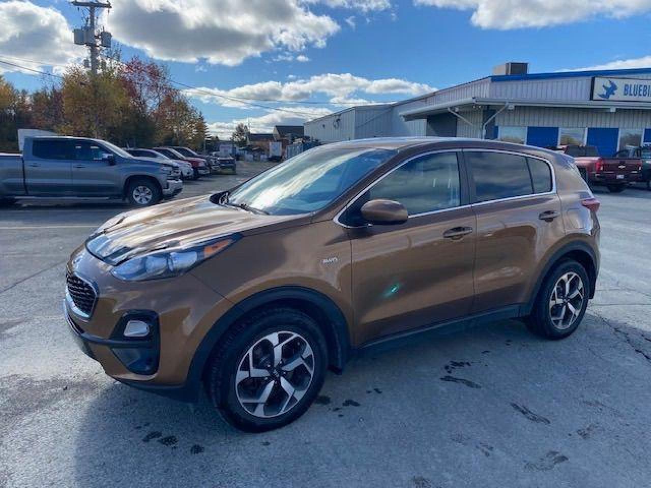 Used 2020 Kia Sportage LX AWD for sale in Grand Falls-Windsor, NL