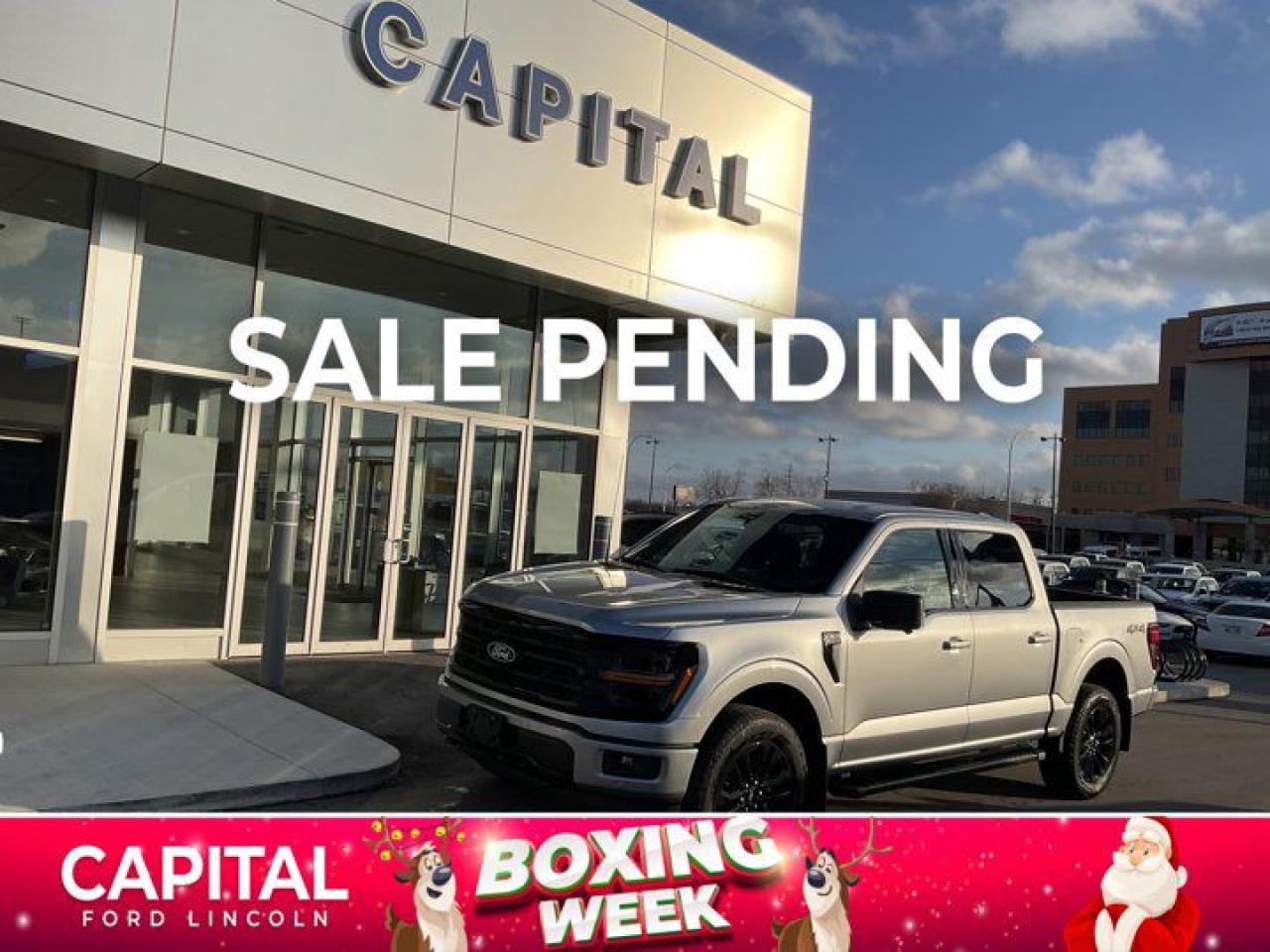 New 2024 Ford F-150 XLT for sale in Winnipeg, MB