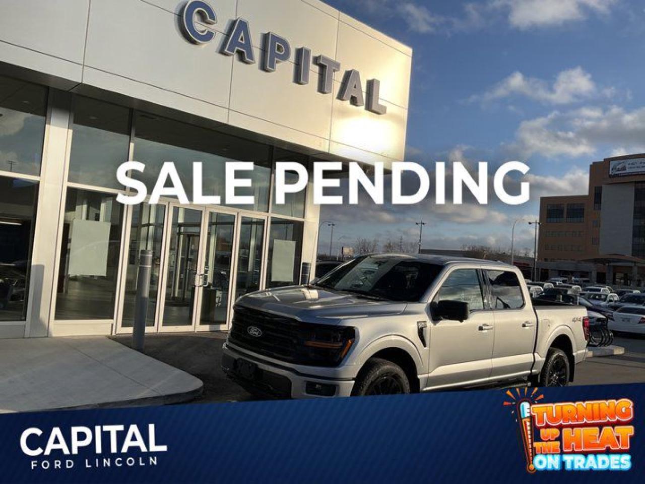 New 2024 Ford F-150 XLT for sale in Winnipeg, MB