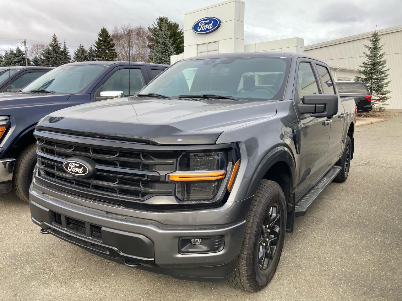 New 2024 Ford F-150 XLT for sale in Woodstock, NB