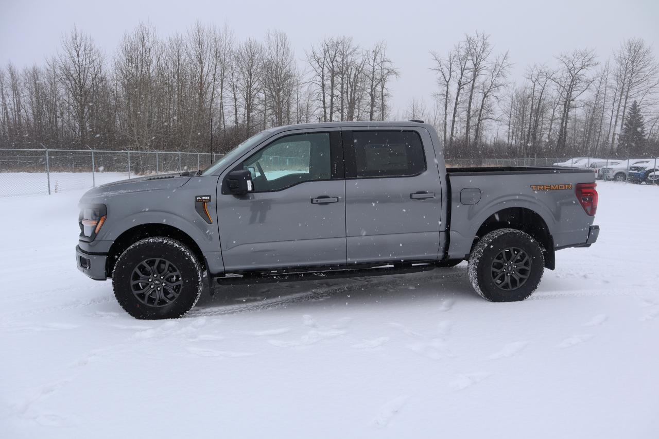 2024 Ford F-150 Tremor Photo