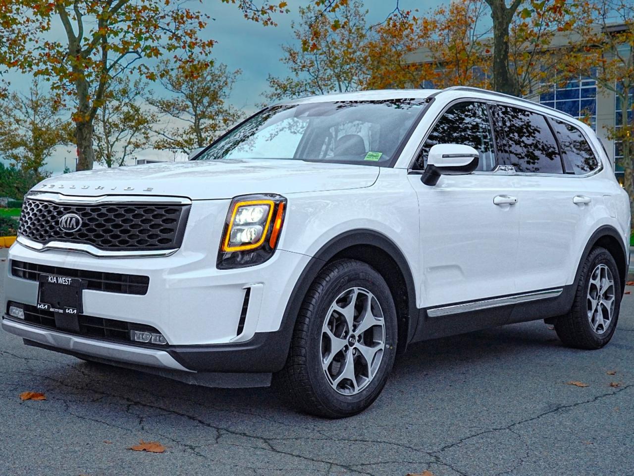 Used 2020 Kia Telluride  for sale in Coquitlam, BC