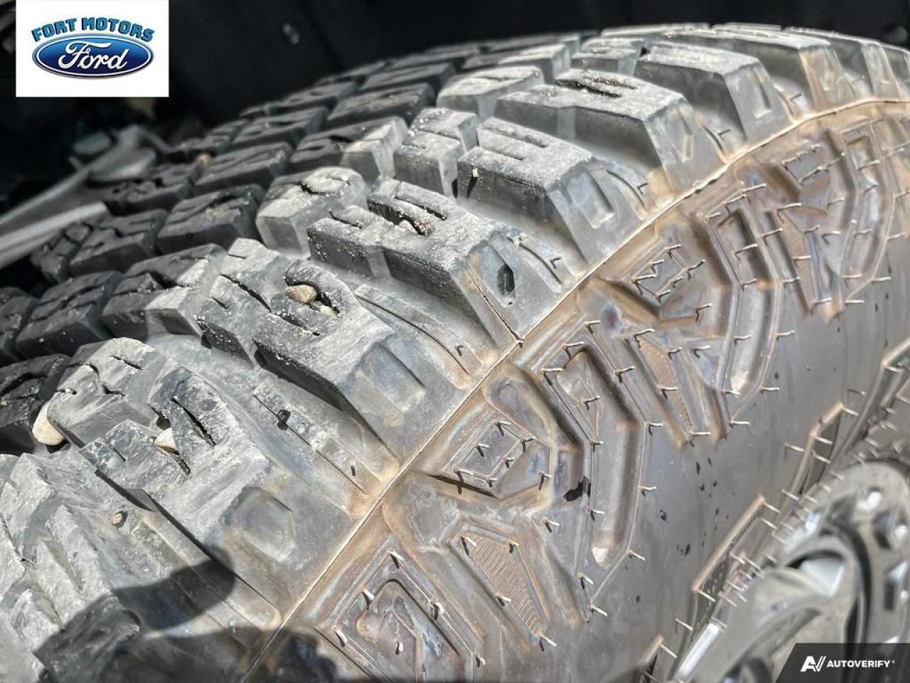 2024 Ford Bronco Everglades Photo5