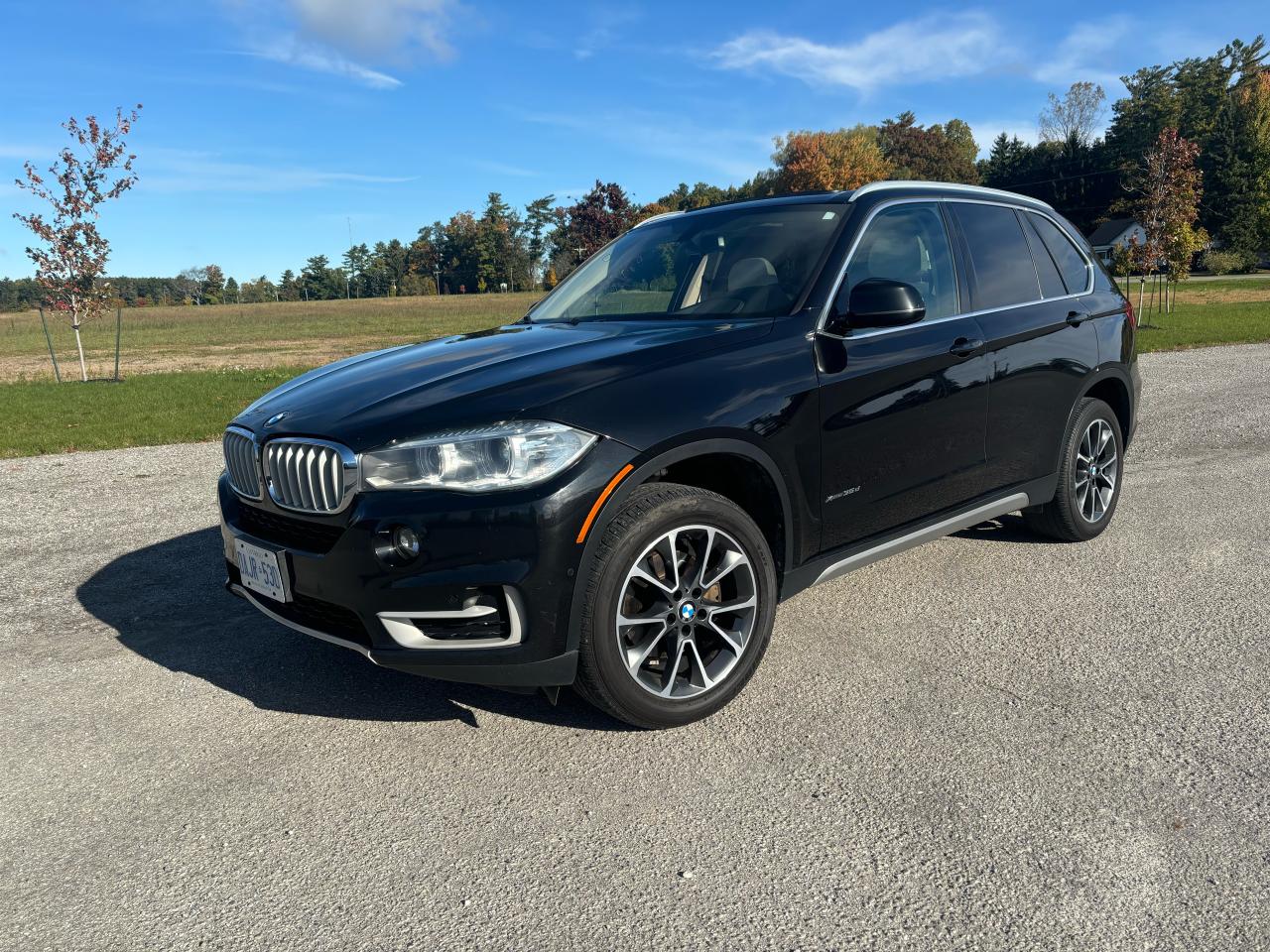 Used 2018 BMW X5 DIESEL for sale in Brantford, ON