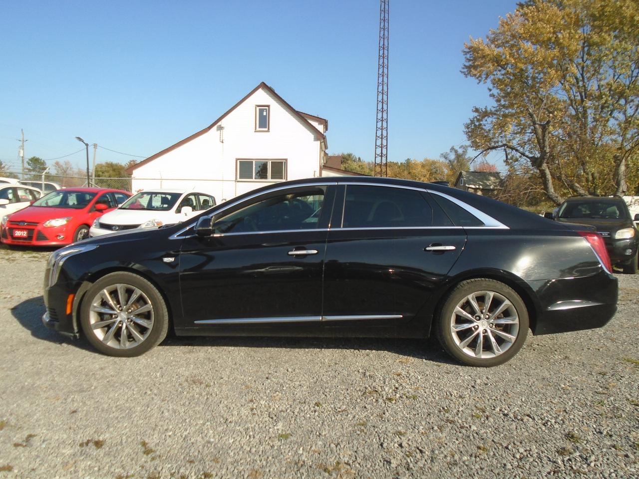 2019 Cadillac XTS 4dr Sdn Livery Package FWD - Photo #4