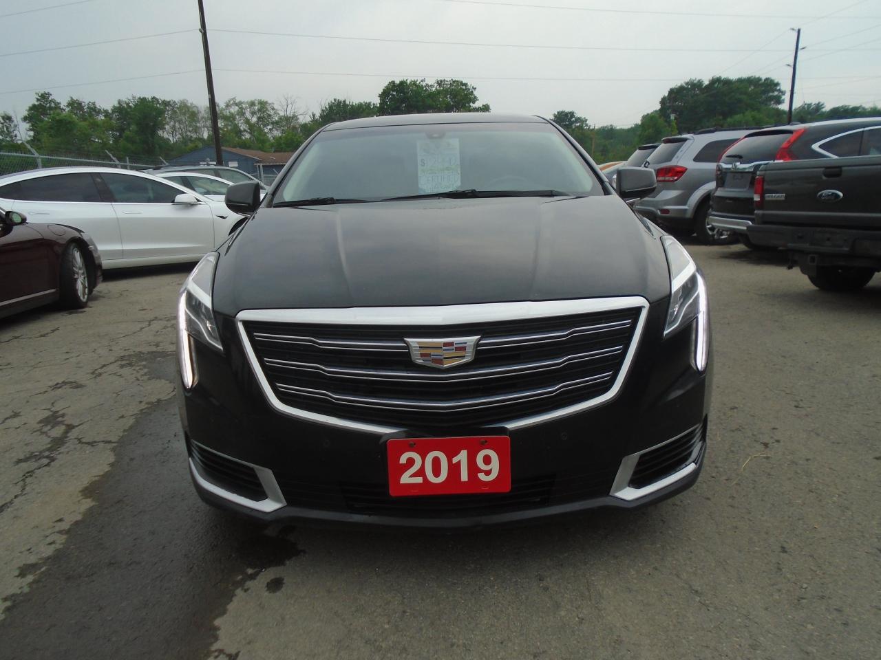 2019 Cadillac XTS 4dr Sdn Livery Package FWD - Photo #2