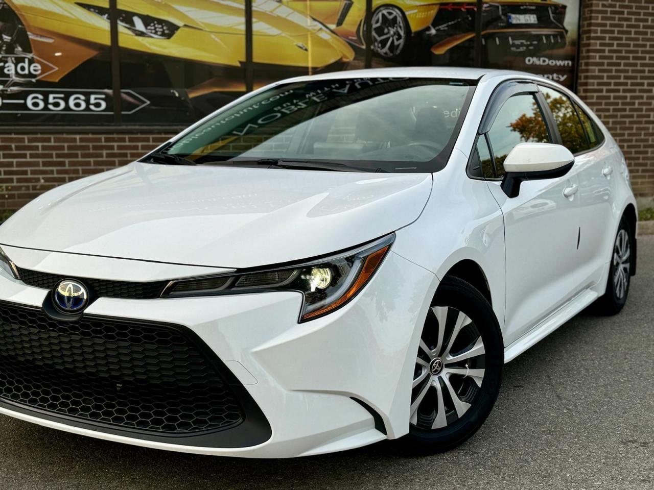 2022 Toyota Corolla  Photo2