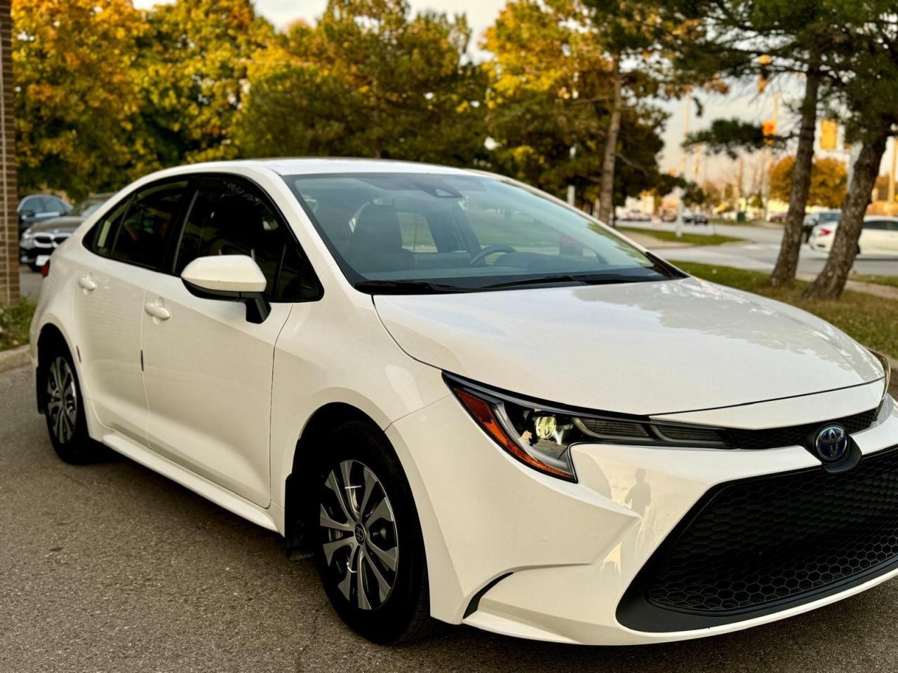 2022 Toyota Corolla  Photo3