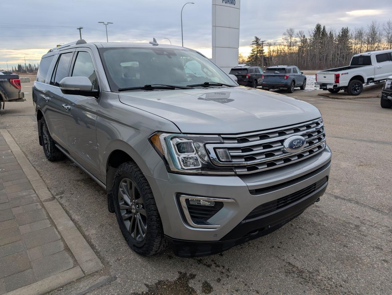 2021 Ford Expedition Limited MAX Photo3