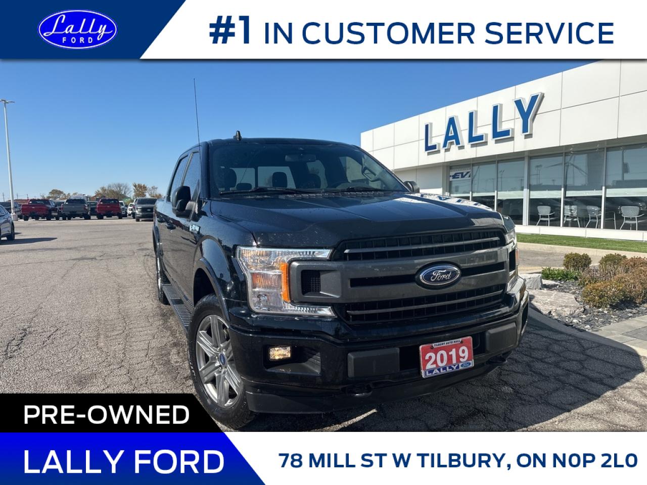 Used 2019 Ford F-150 XLT, Nav, Sport package, Local Trade! for sale in Tilbury, ON