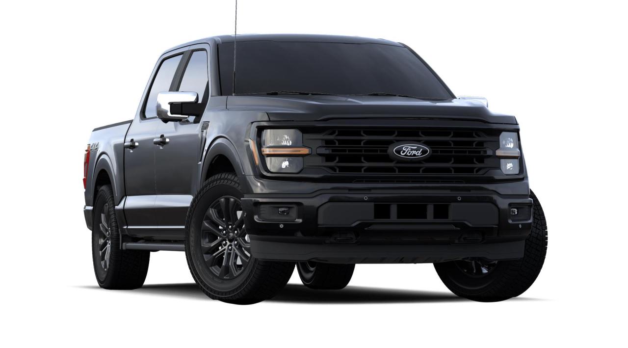 2024 Ford F-150 XLT Photo