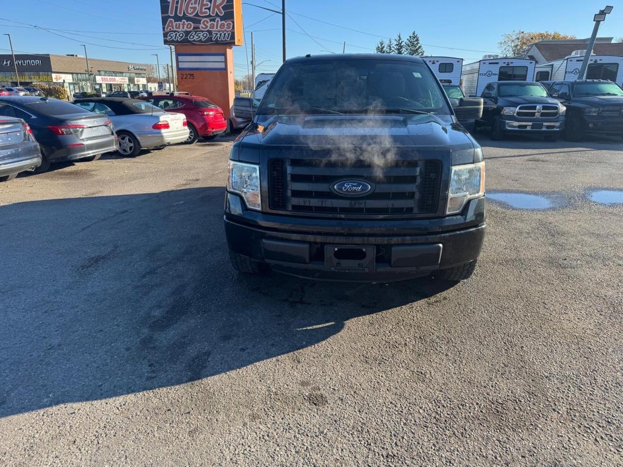 2012 Ford F-150 STX, WELL MAINTAINED, NO ACCIDENTS, CERTIFIED - Photo #8