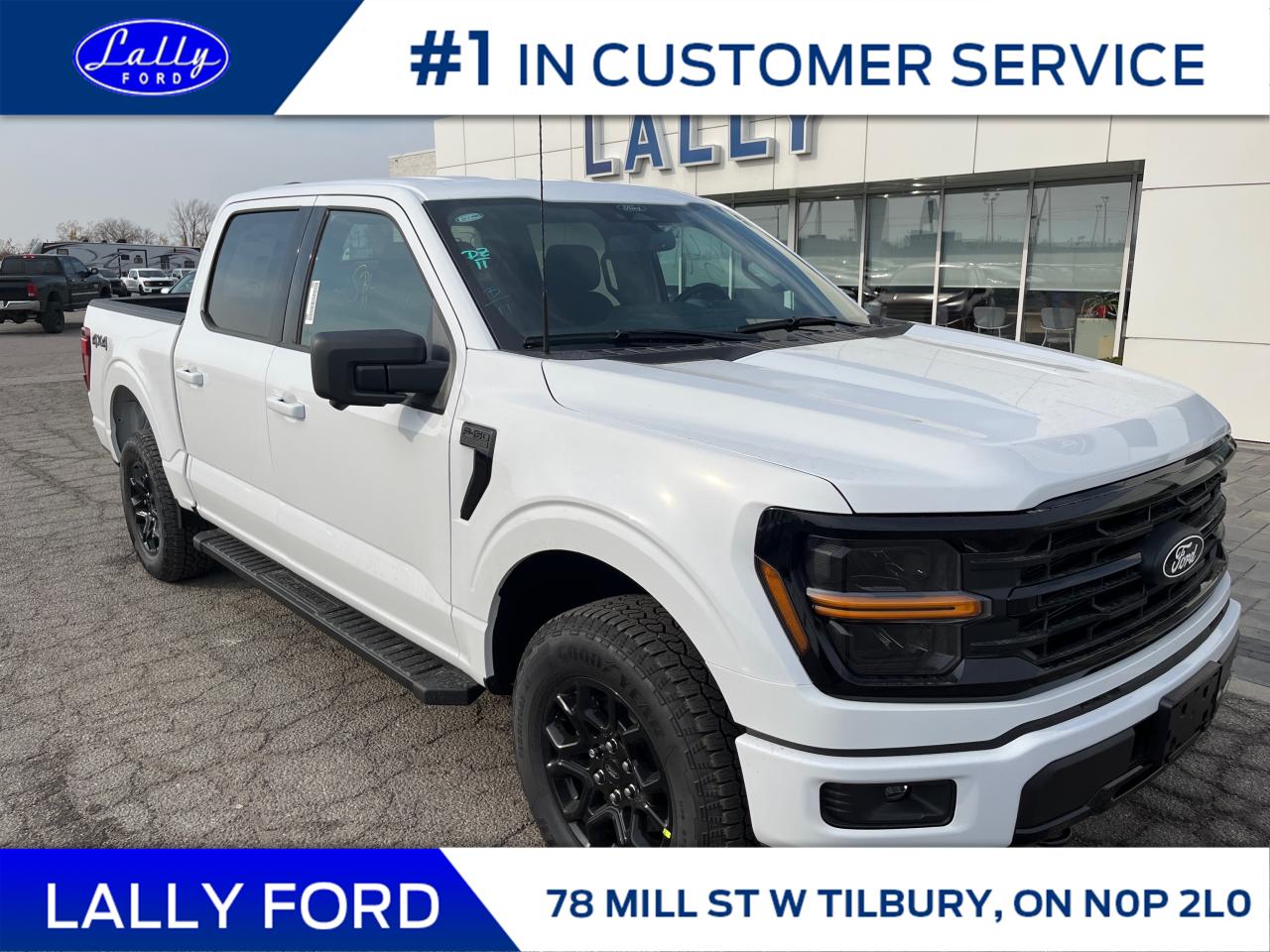 New 2024 Ford F-150 XLT for sale in Tilbury, ON