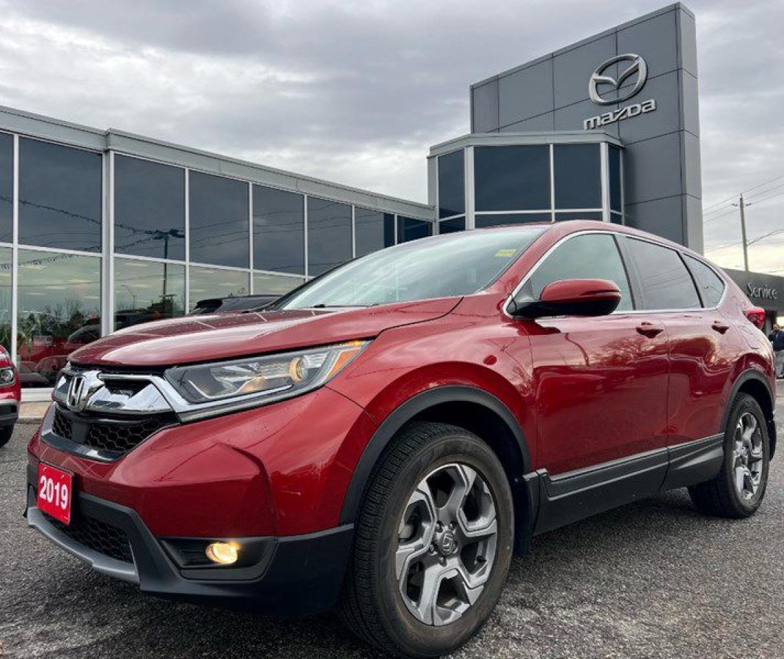 Used 2019 Honda CR-V EX AWD for sale in Ottawa, ON