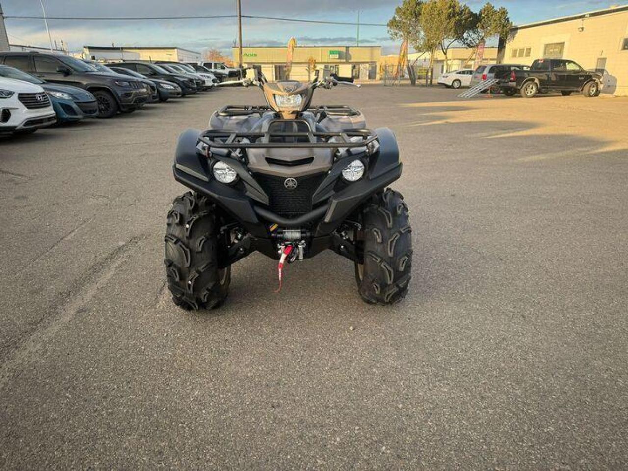 2024 Yamaha Grizzly 700 EPS SE ANNIVERSARY EDITION $106 B/W - Photo #7