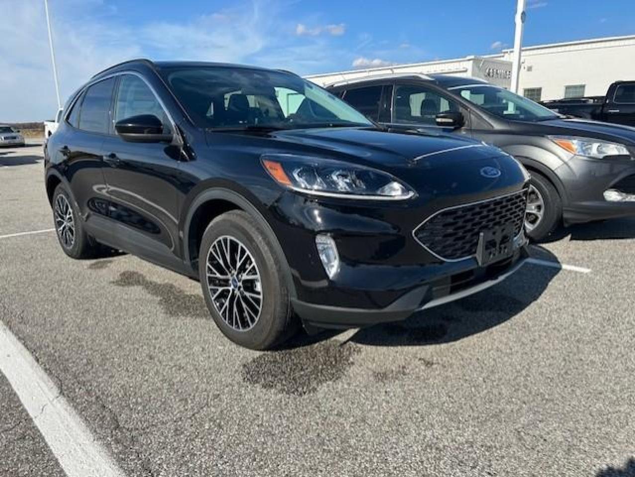 Used 2021 Ford Escape Hybrid SEL hybride rechargeable TA for sale in Watford, ON