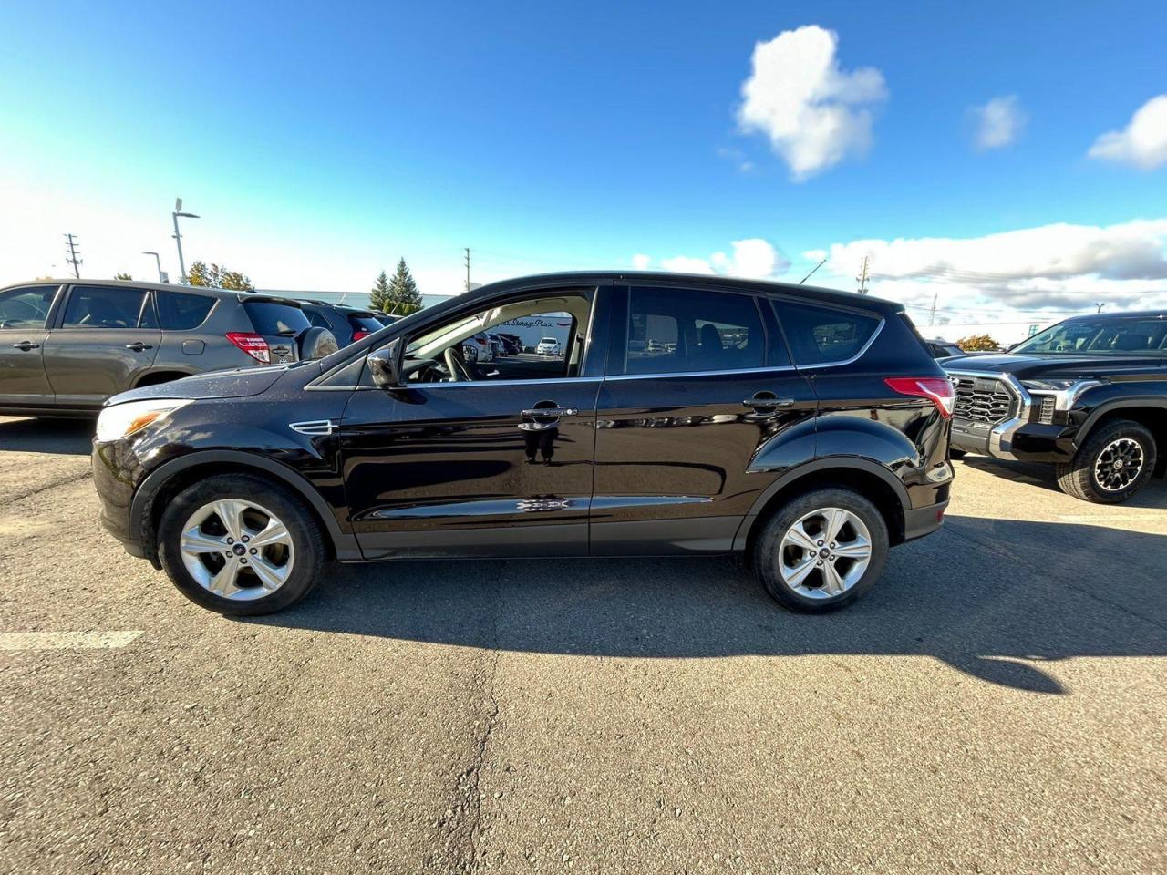 Used 2013 Ford Escape SE for sale in Waterloo, ON