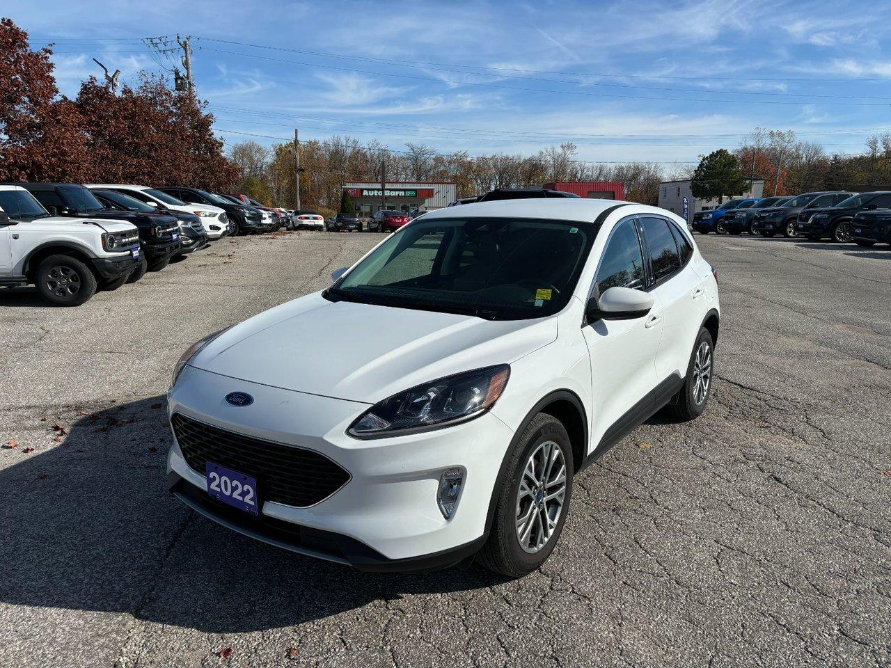 Used 2022 Ford Escape SEL for sale in Essex, ON