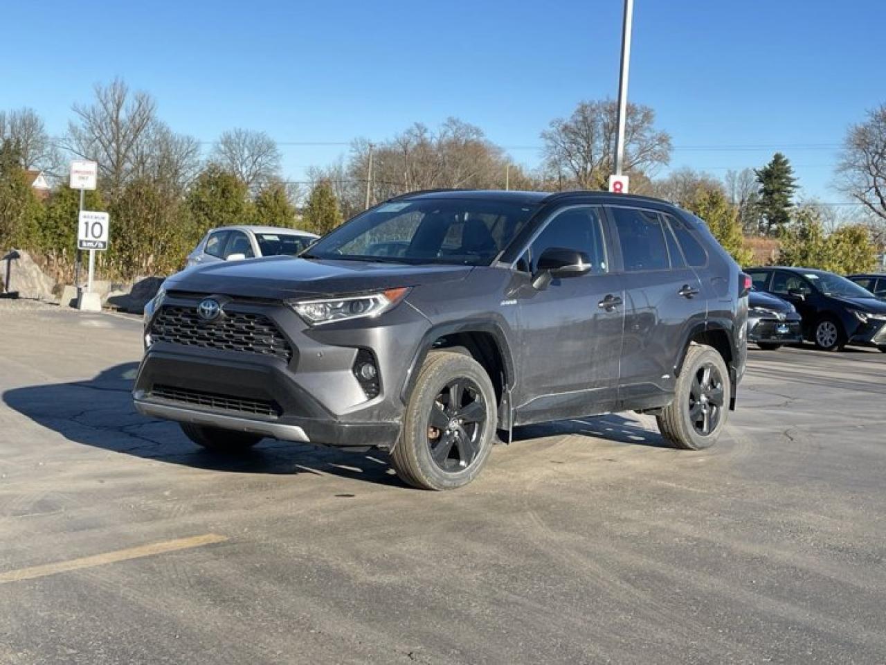 Used 2019 Toyota RAV4 Hybrid   Hybrid AWD, Leather, Sunroof, Heated Seats + Steering, Adaptive Cruise Control & more!! for sale in Guelph, ON