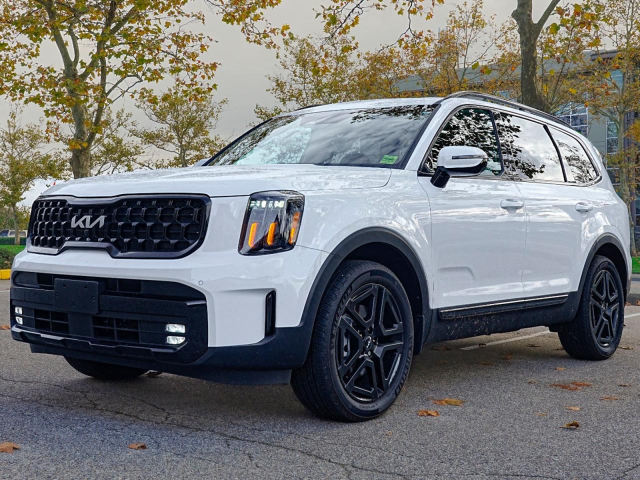 Used 2024 Kia Telluride  for sale in Coquitlam, BC