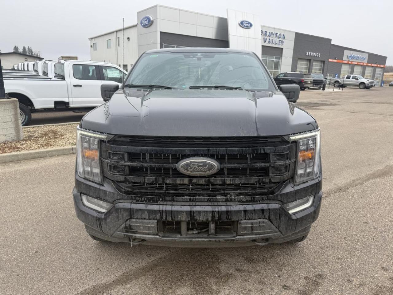 Used 2023 Ford F-150 XL for sale in Drayton Valley, AB