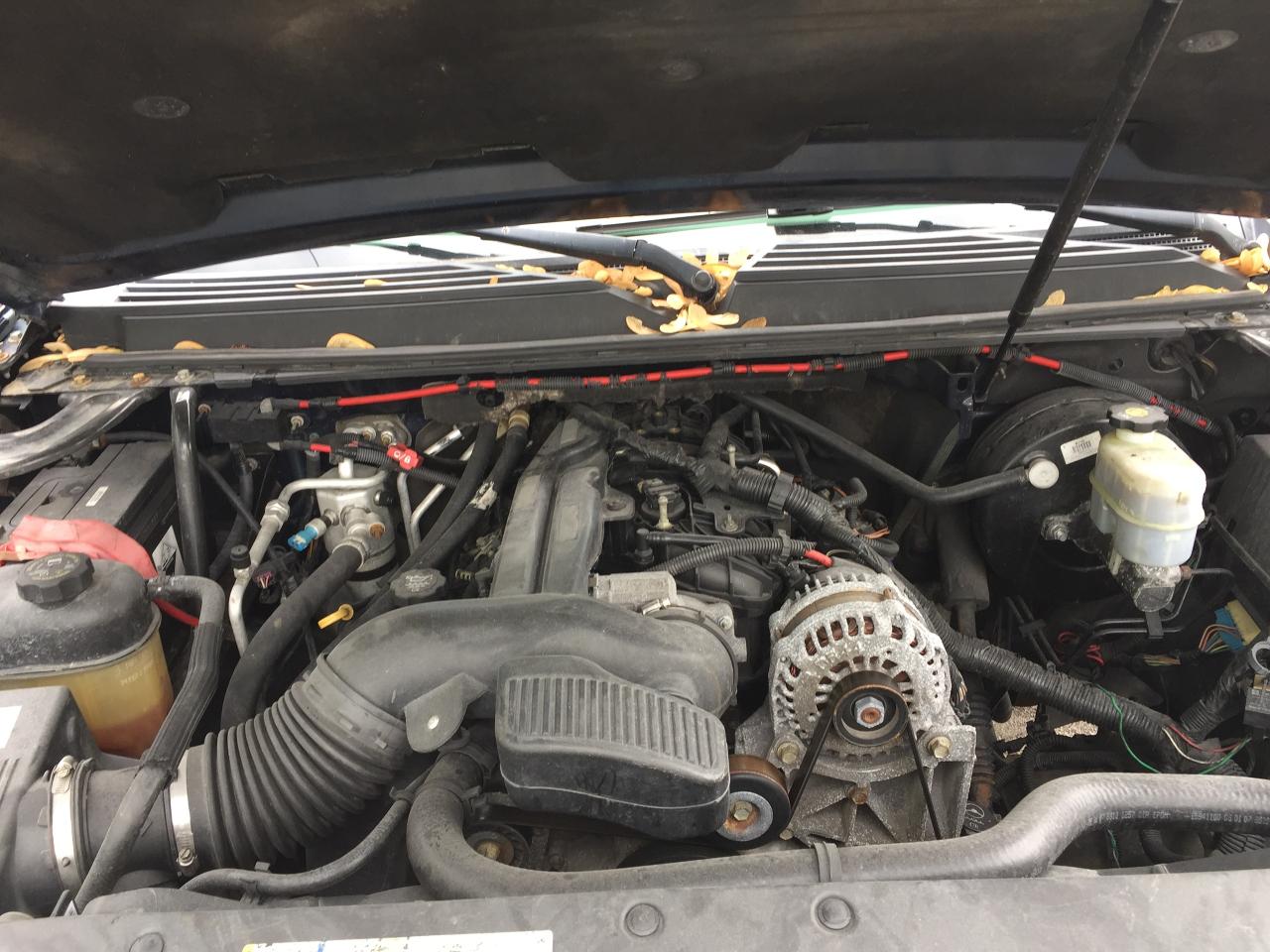 2007 Chevrolet Tahoe 4WD 4dr 1500 LT - Florida Quality Like New - Photo #4