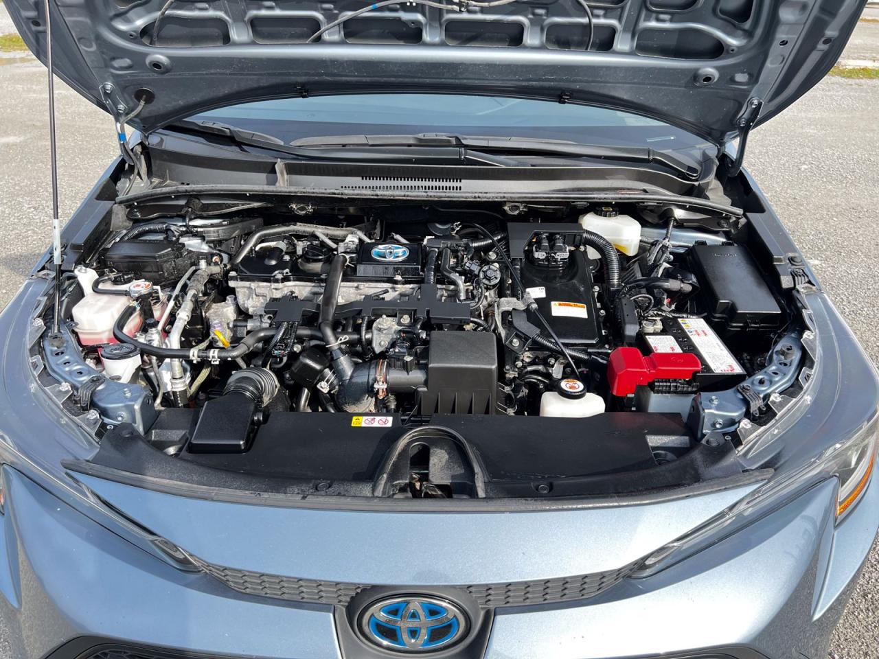 2021 Toyota Corolla LE Hybrid - Photo #10