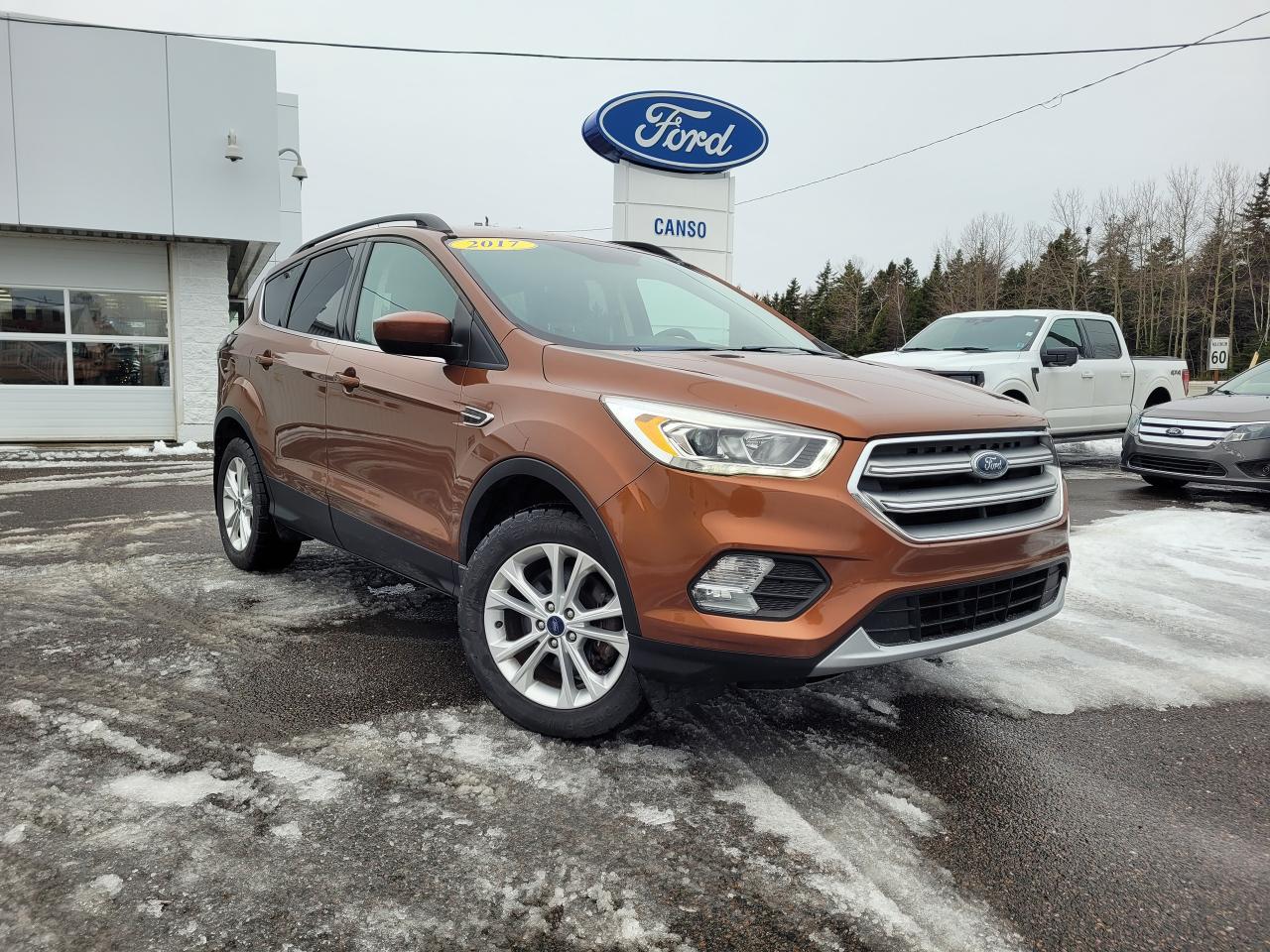 Used 2017 Ford Escape ESCAPE 4DR SE 4WD for sale in Port Hawkesbury, NS