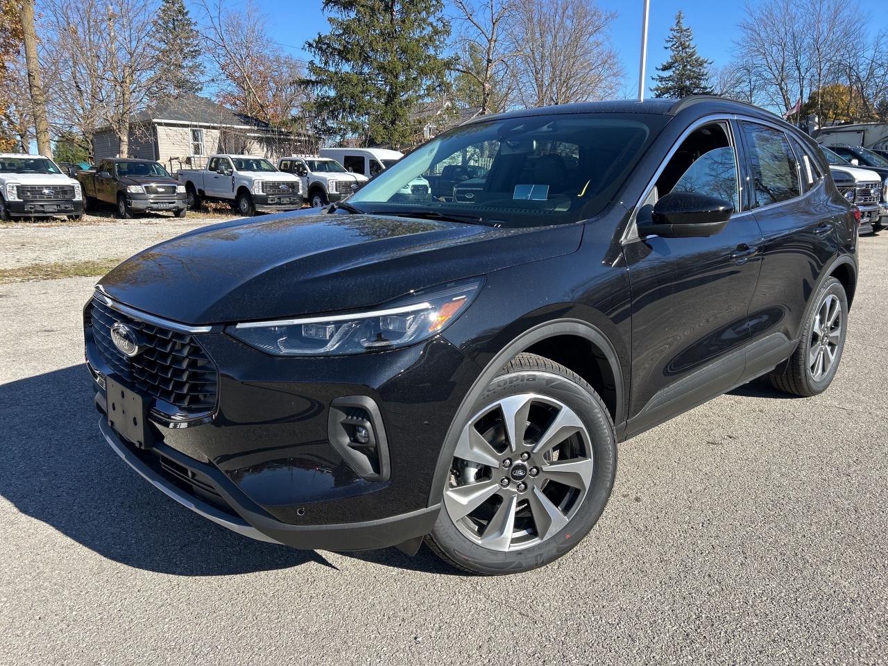 New 2025 Ford Escape Platinum  - Sunroof for sale in Caledonia, ON