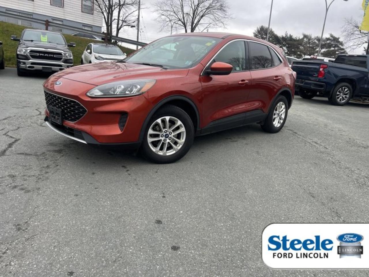 Used 2020 Ford Escape SE for sale in Halifax, NS