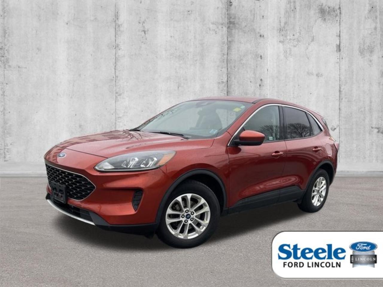 Used 2020 Ford Escape SE for sale in Halifax, NS