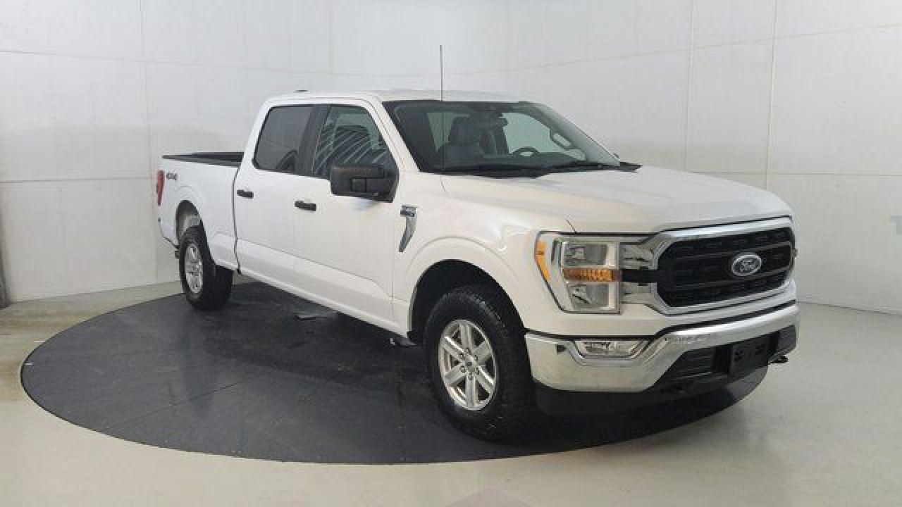 Used 2022 Ford F-150 XLT for sale in Winnipeg, MB