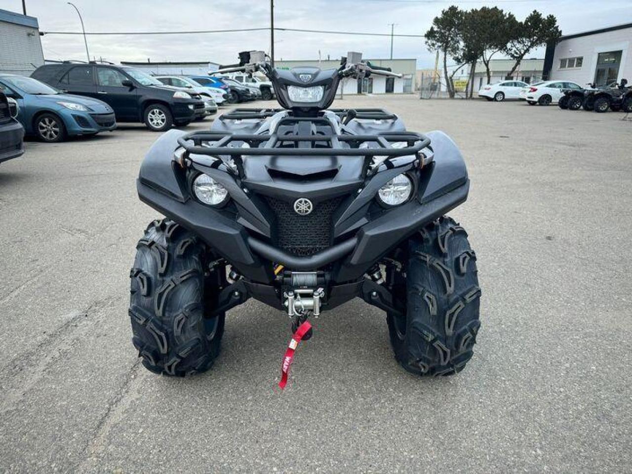 2025 Yamaha Grizzly 700 EPS SE $114 B/W - Photo #3