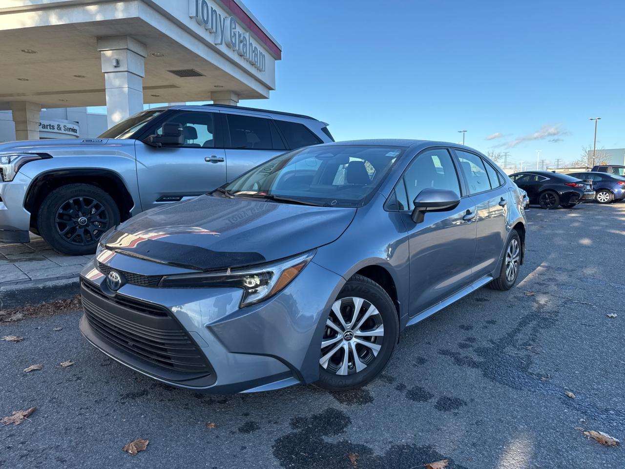 Used 2023 Toyota Corolla Hybrid LE for sale in Ottawa, ON