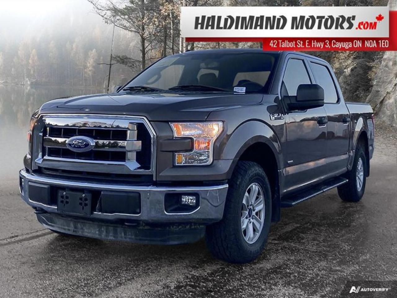 Used 2016 Ford F-150 XLT for sale in Cayuga, ON