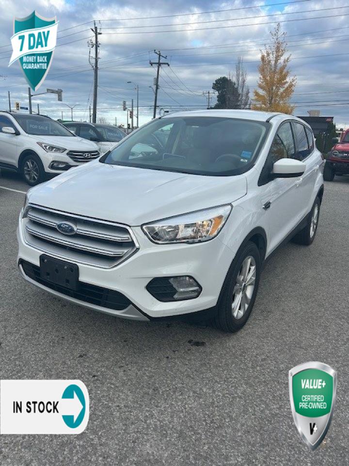 Used 2019 Ford Escape SE for sale in St Catharines, ON