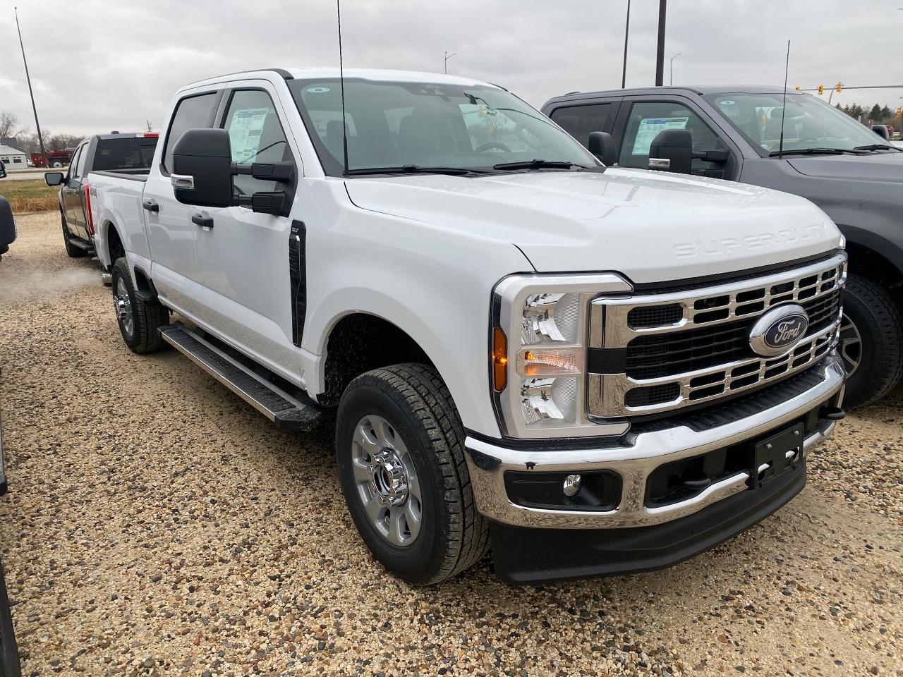 New 2024 Ford F-250 Super Duty SRW XLT 4WD Crew Cab 8' Box 603A for sale in Elie, MB