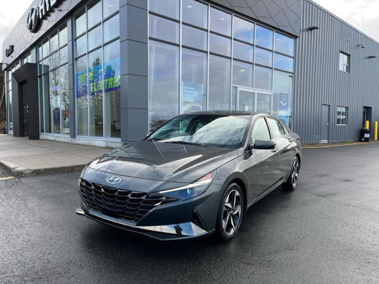 Used 2023 Hyundai Elantra Luxury for sale in Gander, NL