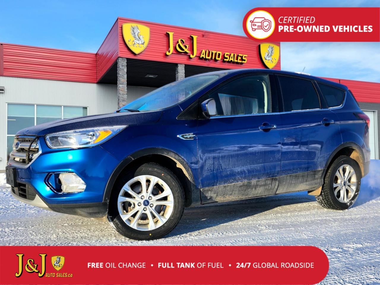 Used 2019 Ford Escape SE for sale in Brandon, MB