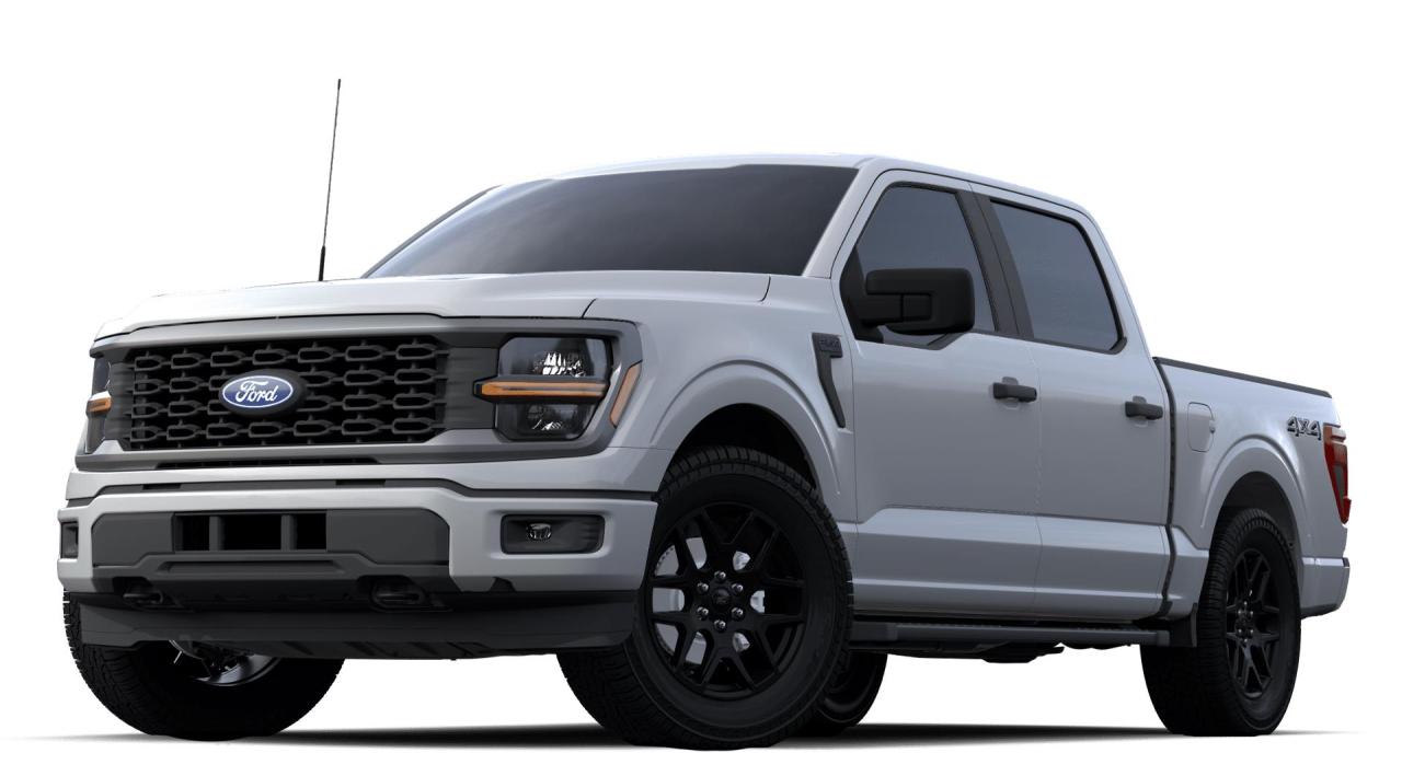 New 2024 Ford F-150 STX 4WD SUPERCREW 5.5 BOX for sale in Port Hawkesbury, NS