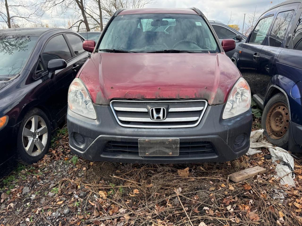 2006 Honda CR-V EX, HEADGASKET ISSUE, RUST FREE UNDERCOATED, AS IS - Photo #2